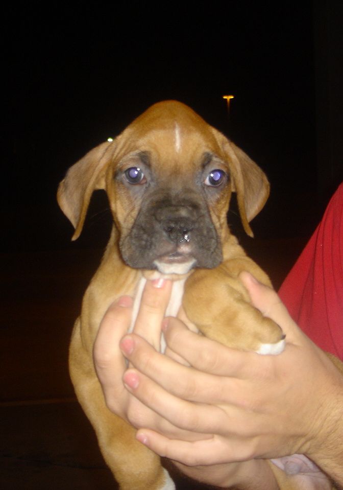Chandler on the first night we met!