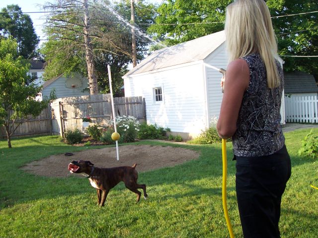 Chaos and Mom