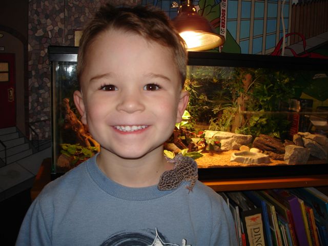 Chaos - our leopard gecko