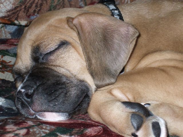 Chaos sleeping