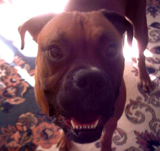 Chaos smiling