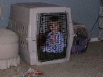 Charlie and Maisy in Kracker's crate