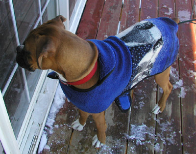 Charlie in his sweater