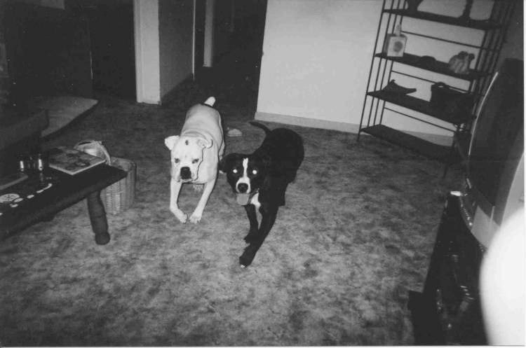 Charlie Paper & his girlfriend