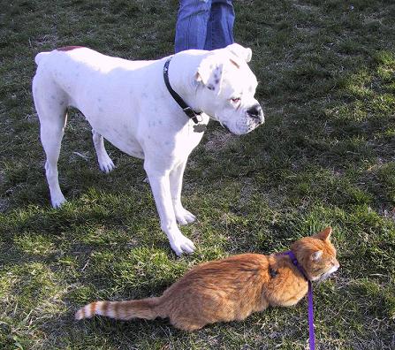 Charlie Paper & Rudy