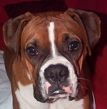 Charlie
