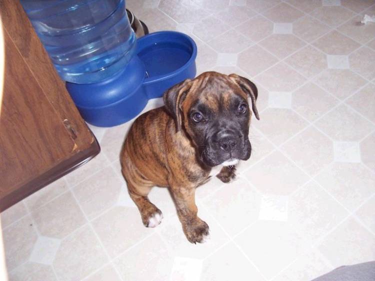 Charlie