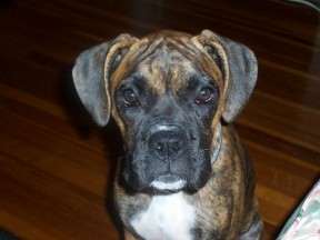 Charlie