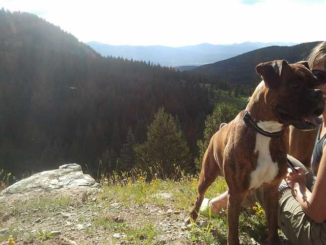 Charlie