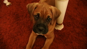 Charlie9wks