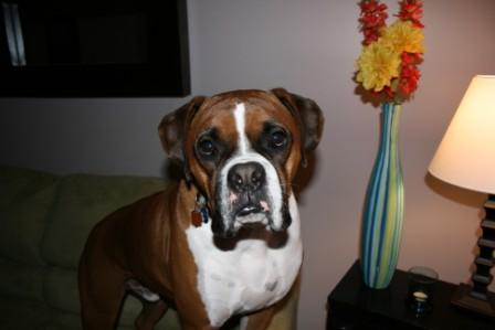 Charlie_2-17-07_2_Compressed