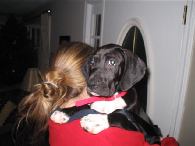 Charlie's First Day