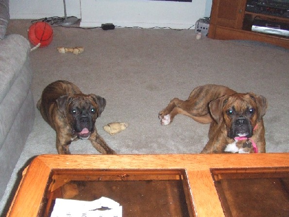 Charlotte & Kaybie