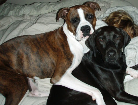 Chas and Ollie