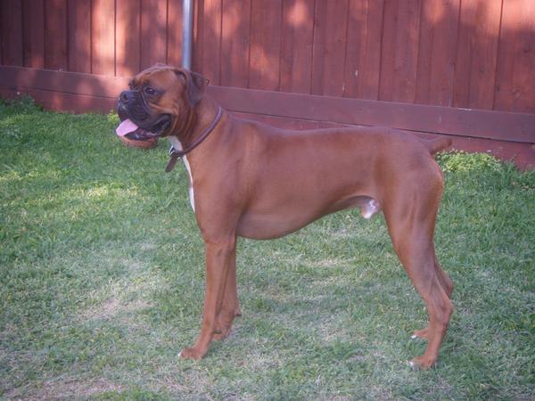 Chase when he was 1yrs. old