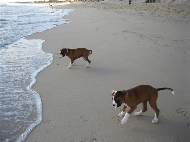 Chasing waves!!