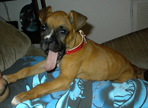 Check out my tongue!
