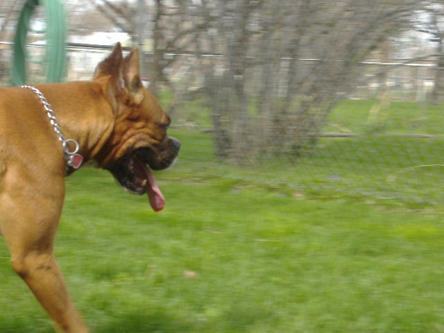Check out that Tongue!