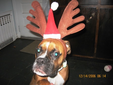 check the hat!
