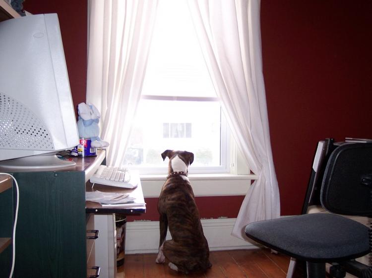 Checking everything out again