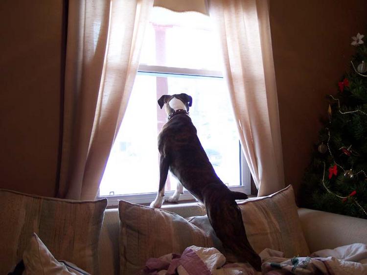 Checking Everything Out