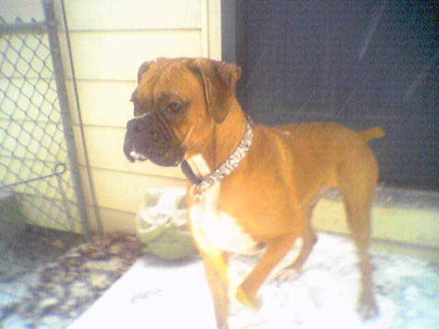 Checking out the snow...