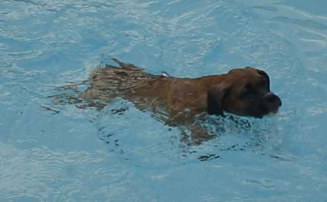 Checkout my breaststroke