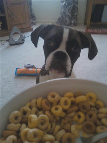 cheerio