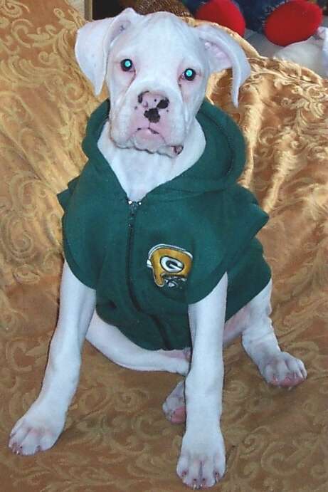 Cheesehead?????????