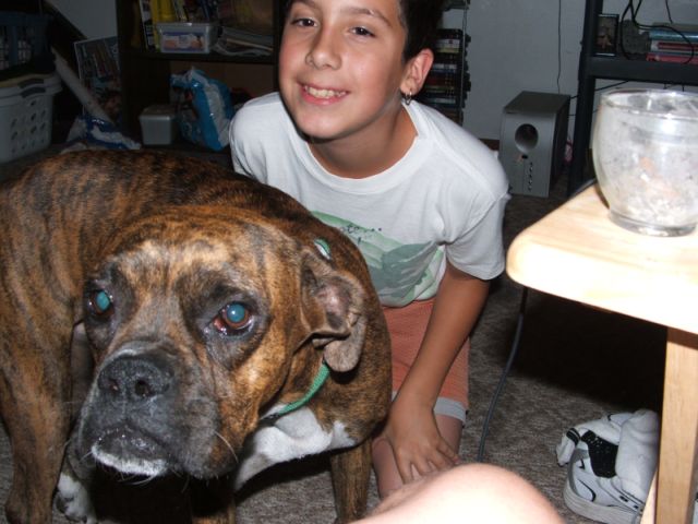 Cheesy doggy!