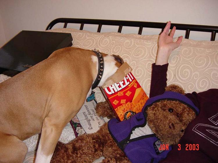 cheez-it