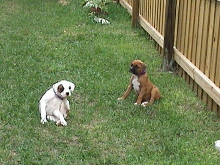 Chelsea & Angel