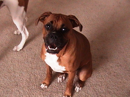 Chelsea looking cheeky