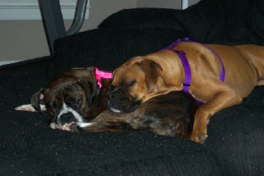 Cherished moments
