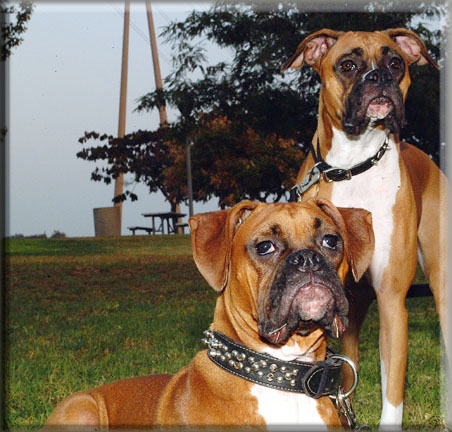 Cherokee and Apache