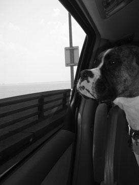 Chesapeake Bay Bridge