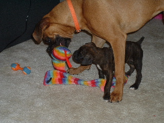 Chesney and Spencer