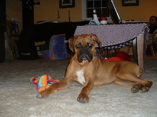 Chesney
