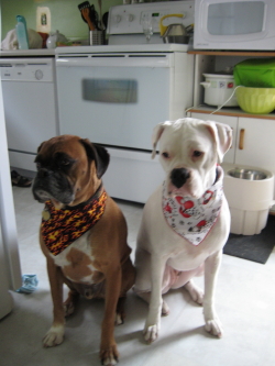 Chester and Lilly