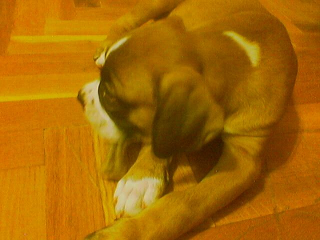 chewing again