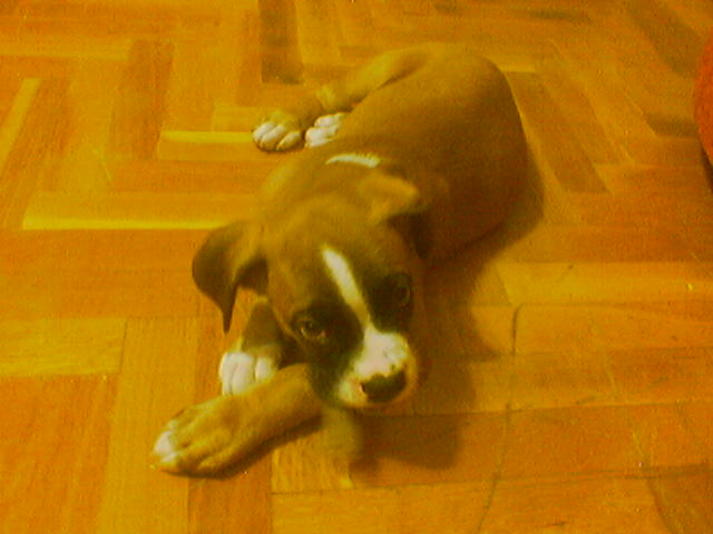 chewing!