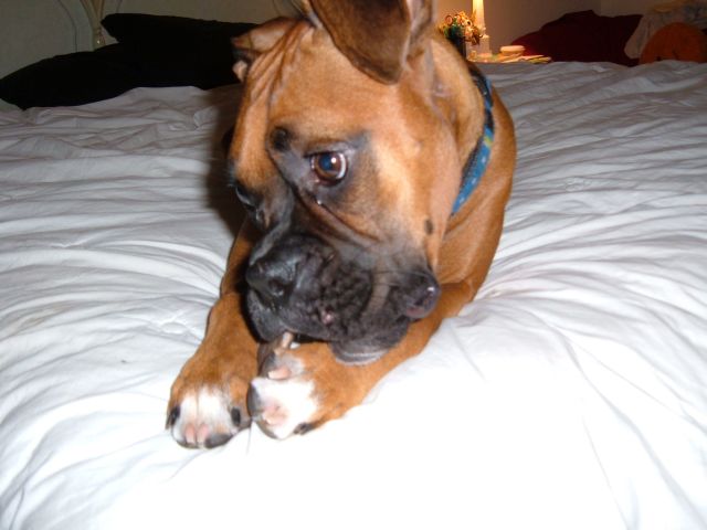 chewing