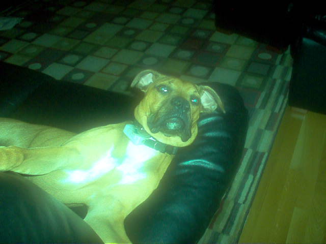 Chico chillin as usual