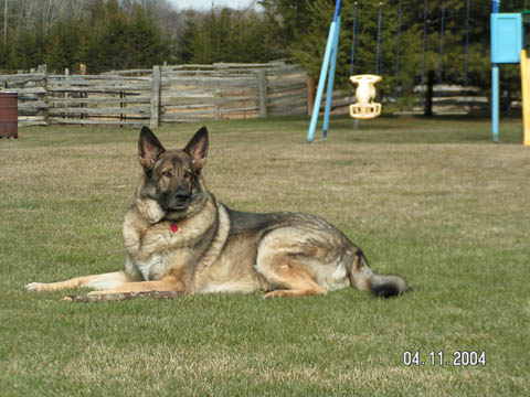 Chico