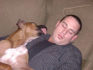 Chief and Papa napping