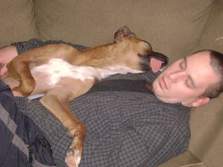 Chief and papa napping2