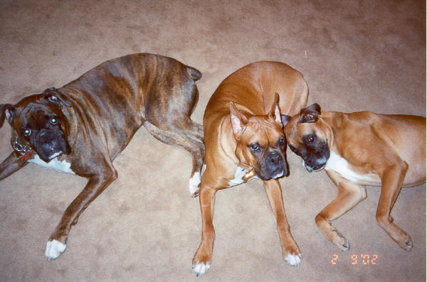 Chief IV, "Girl" and Tex