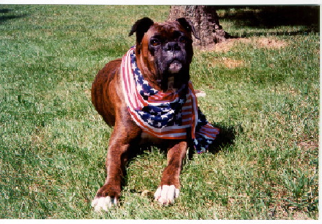 Chief IV- Patriotic