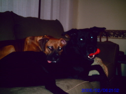Chief n Sam