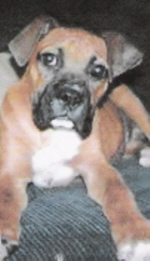 Chief1